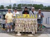 Five Fishermen display a 36 fish limit of Lake Erie walleye.