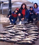 lake erie walleye charters
