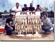 Trophy Walleye
