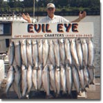 Trophy Walleye