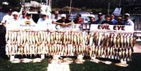 lake erie walleye charters