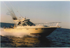 walleye, walleye fishing, walleye charters, lake erie charters,  lake erie fishing