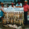 lake erie fishing guide