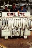 Three men with hats stand behind a limit catch of 20 nice steelhead.