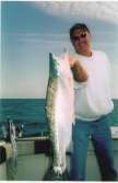 Man can barely hold up a huge trophy Steelhead.